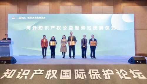 杭州高新區（濱江）知識產權國際保護論壇 共筑創新防護網