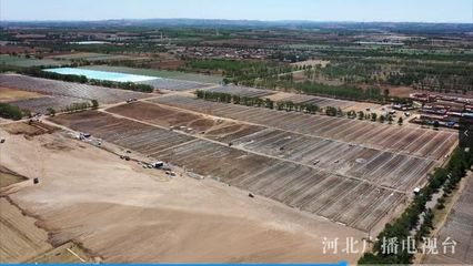 河北省級(jí)農(nóng)業(yè)示范區(qū)步入建設(shè)新階段，計(jì)算機(jī)網(wǎng)絡(luò)工程助力鄉(xiāng)村振興